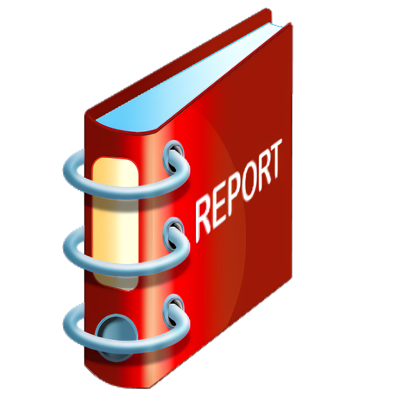 REPORT REPORT